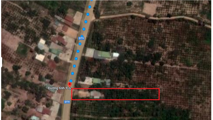 Đất mặt đường tỉnh lộ DT9- Dang Kang-Krong Bông. Diện tích 10x92m (920 m2)